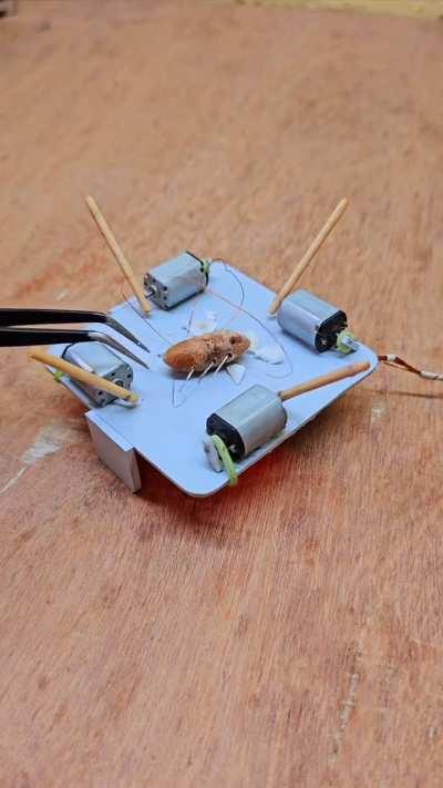 DC motor Bug Trap with 4 sticks