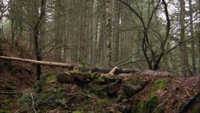 Talitha Luke-Eardley - Wrong Turn 6 (2014)