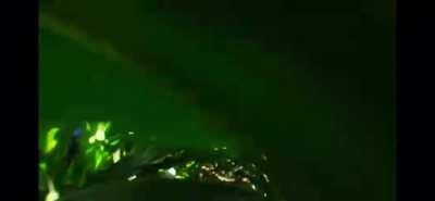 POV: you’re chasing a survivor on a farm map as blight