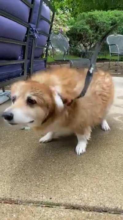 Here’s archer doing some nice slow-mo wiggles