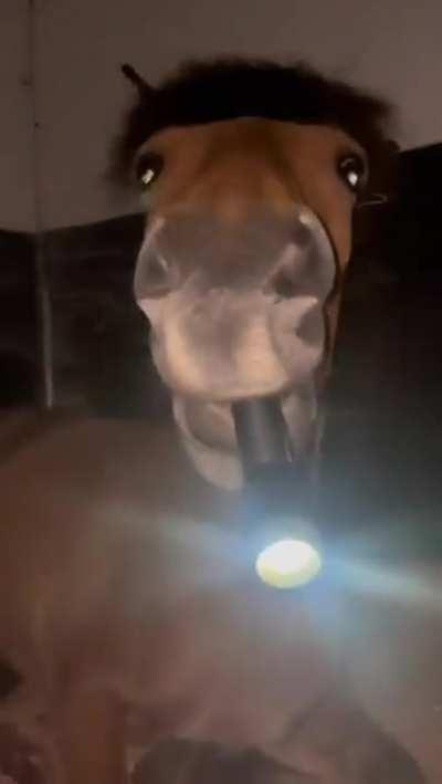 hold the dang light straight