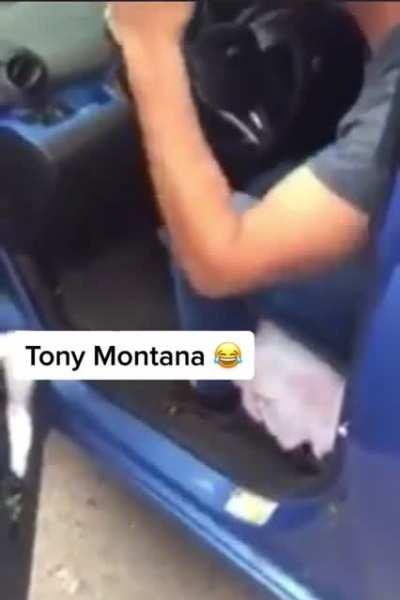 made me laugh hard as shit