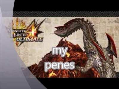 top 10 monstr hunter monster's (proudly made with windows movie makr!)