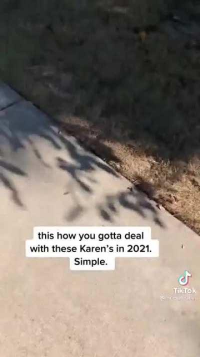 No skate zone makes you a Karen