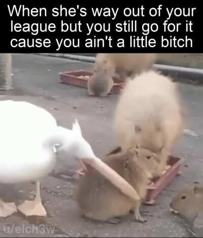 You miss all the shots you dont take