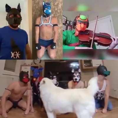 Just some pups singing pumped up kicks