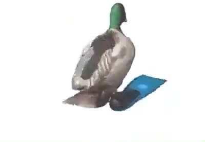 This is the funniest shit I’ve seen all month and honestly I’m concerned of what that says about my life at this point