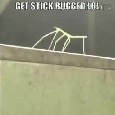 Someone teach me animation