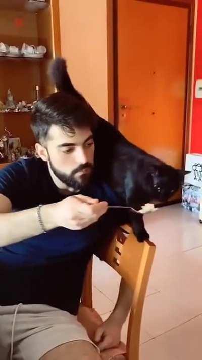 justice with their own paws