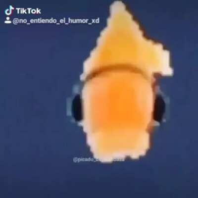 Shake down trrurtuututu trrruutututut