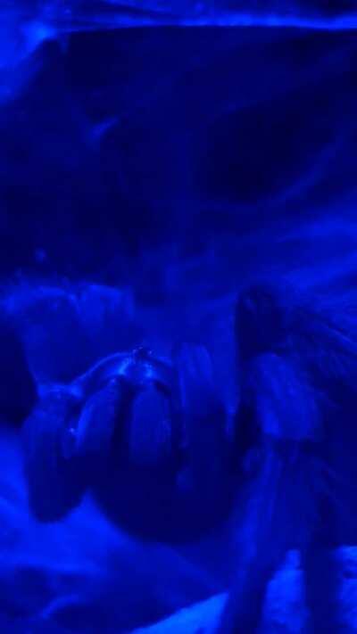 Don't forget to brush