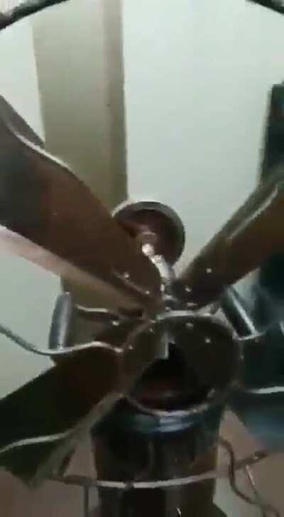 175 year old fan made by the East India Company - when there was no electricity.