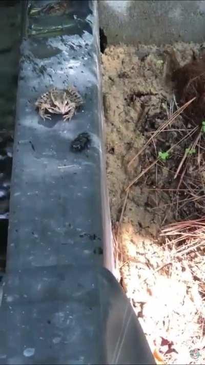 Sometimes the food doesn't taste good