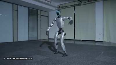 Unitree G1 Kungfu Kid V6.0
