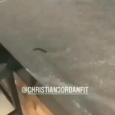 Desenha oq vêm na mente