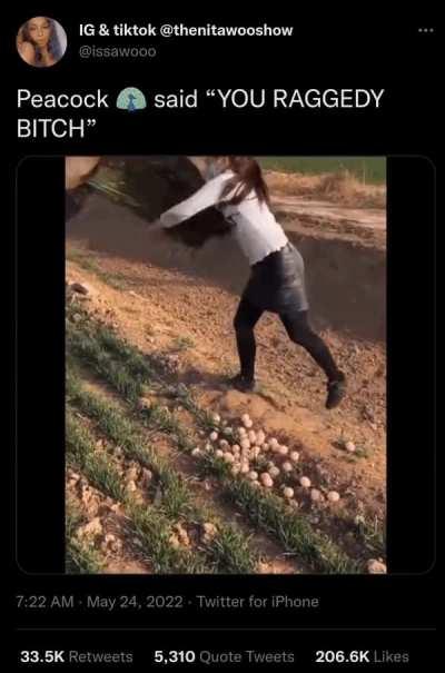 You got the wrong one