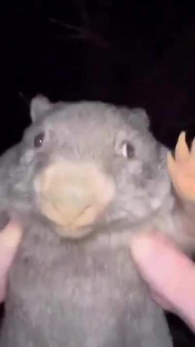 Take a break from Horny scrolling 🙌