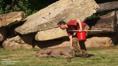 This cute heavy sleeper been posted before?