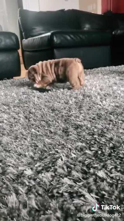 omg this is so cute ima cry