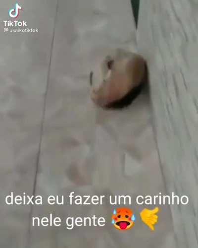 era uma pedra 😔