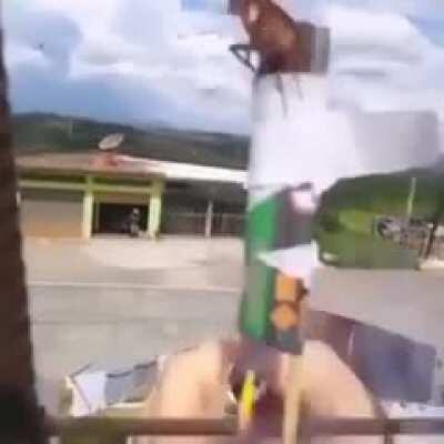 Nunca mais entra na casa do vladimir 🤑🤑🤑