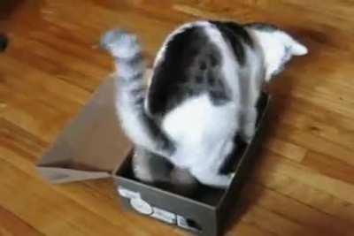 An unorthodox but effective method.