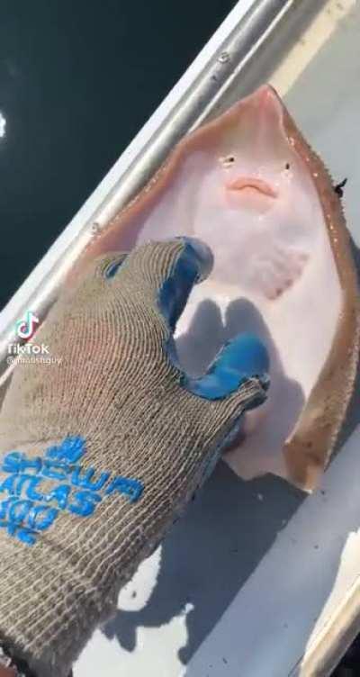 Thanks I Hate Tickling Fish