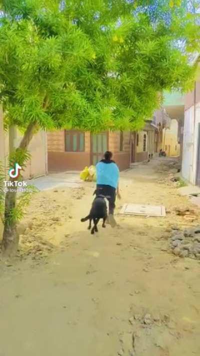 Hahahaha😂😂🤣🤣