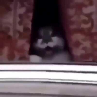 We're just saying hi!