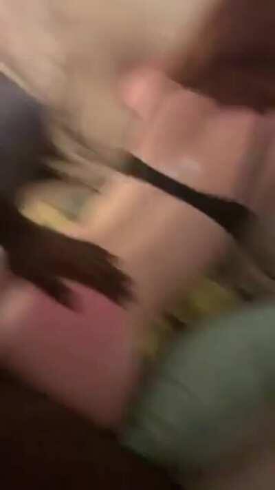 Doggy for Everyone (OC)