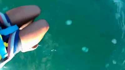 Right in the jellyfish