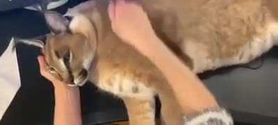 GOSHA FR GETTING CLEANED UP 😫🙏