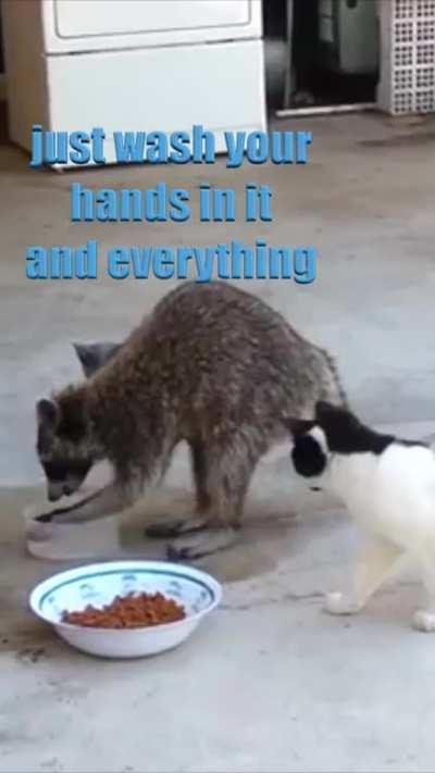 Hi there, I'm Gary... 🔈🔉🔊 turn on sound 😃