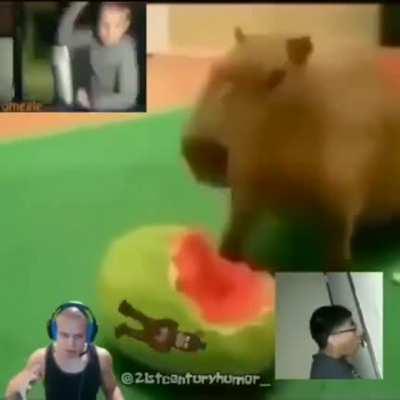 Credit to @21centuryhumor_ on Instagram