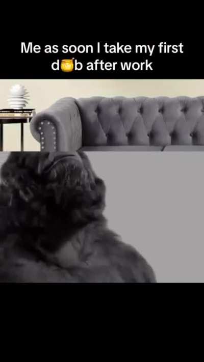 Post work Supplement