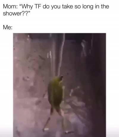 WillingSecondhandBass-size_restricted