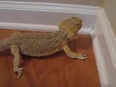 Not all heroes wear capes