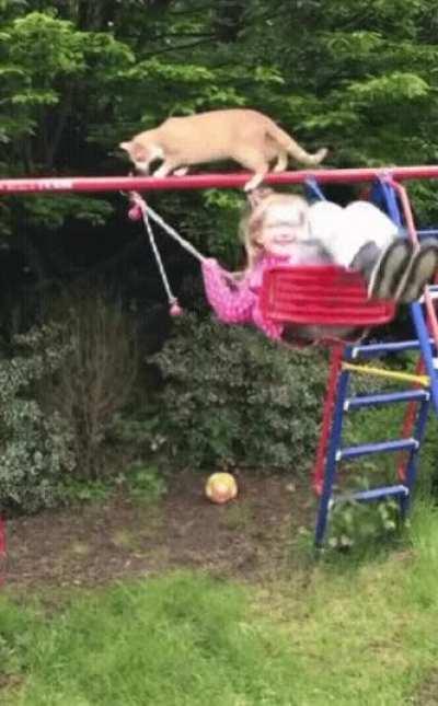 The cat knew she fucked up