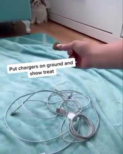 Who Framed Roger Rabbit