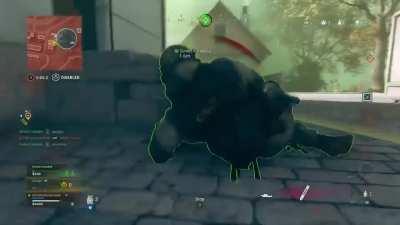 When the final circle is all noobs (including me). Warning: sloppy AF