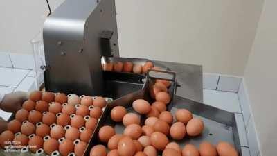 Egg breaking machine