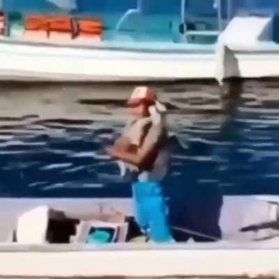 Mucha toxicidad, mejor mira esto