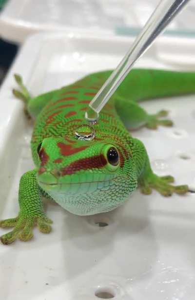 Martin’s water hat