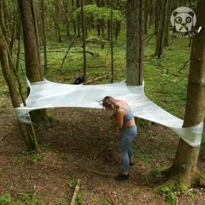 Nothing better to reconnect with nature