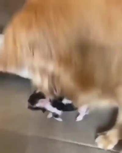 Best friends already