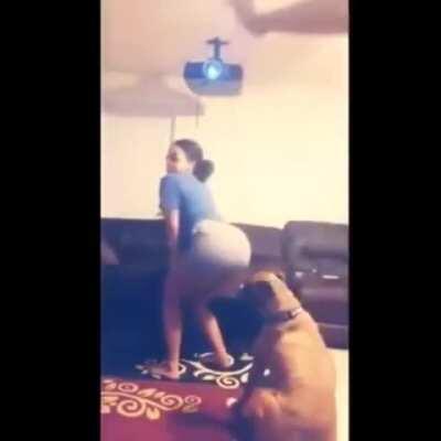 That boxer suffered a TKO