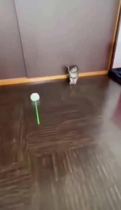 would have died had it not been for those god like reflexes