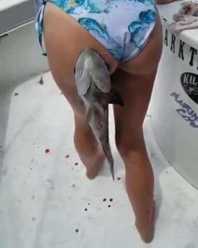 HMC while I go for fishing.