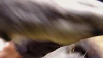 First-person POV of belly scratches