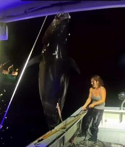 She reeled in an entire Blue Fin Tuna by herself!